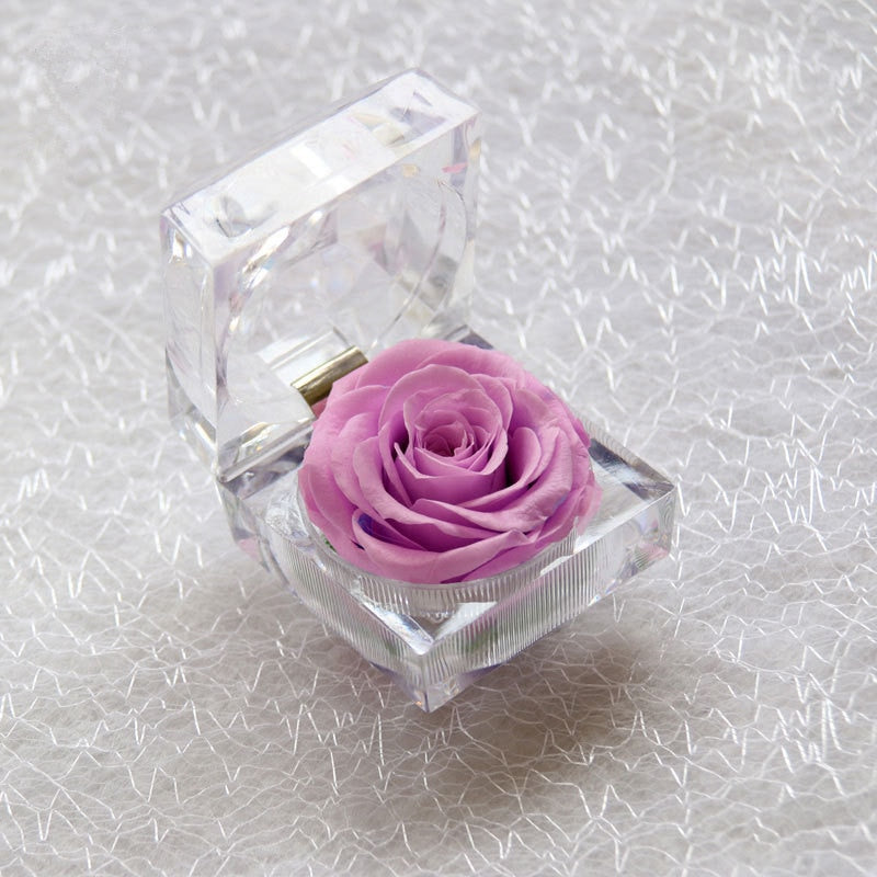 Rose Acrylbox