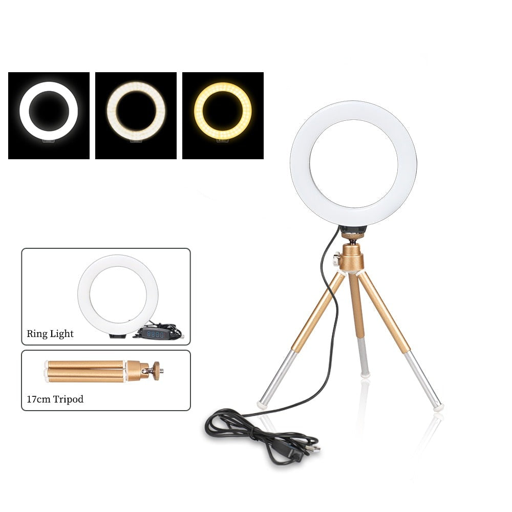 6 Zoll Ring Leuchte