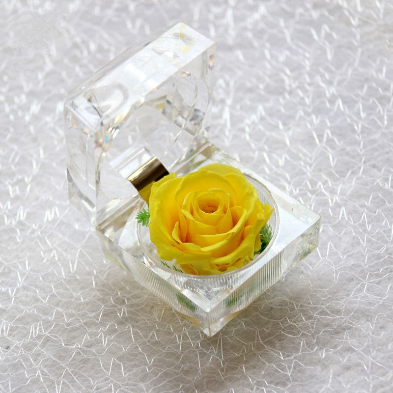 Rose Acrylbox