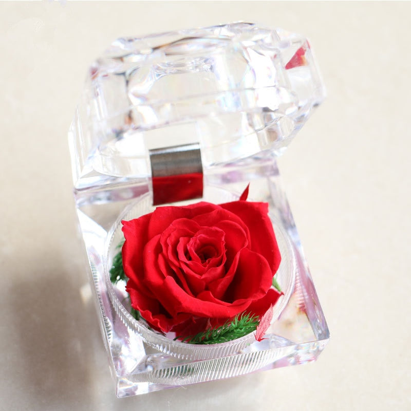 Rose Acrylbox