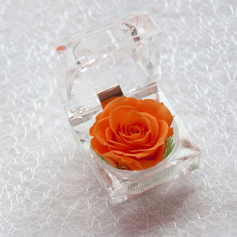 Rose Acrylbox
