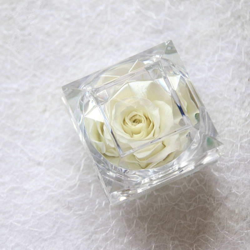 Rose Acrylbox