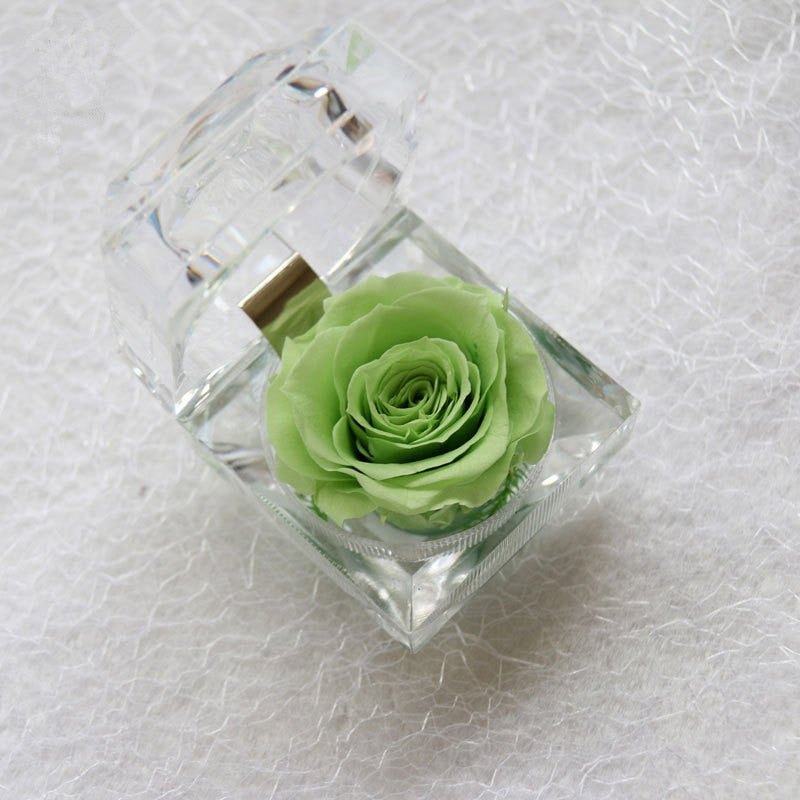 Rose Acrylbox