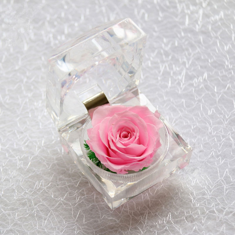 Rose Acrylbox