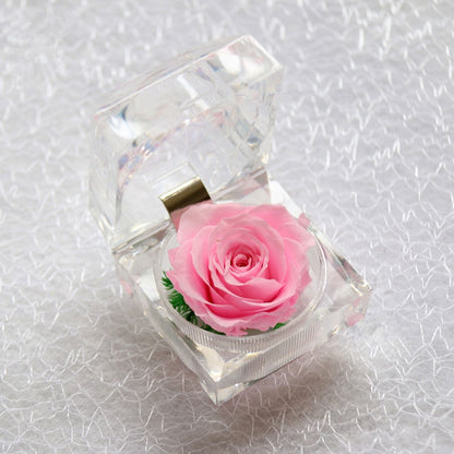 Rose Acrylbox