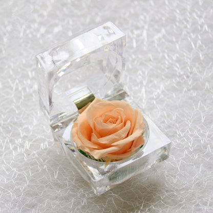 Rose Acrylbox