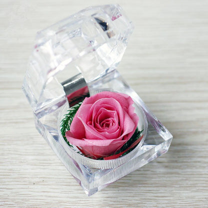 Rose Acrylbox