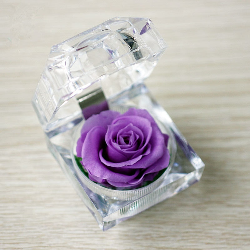 Rose Acrylbox